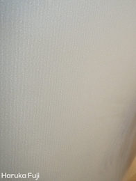 Haruka Fuji seems a bit shy during while she is naked in front of us